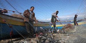 تورهای پُر از ماهی در دریای استان مازندران