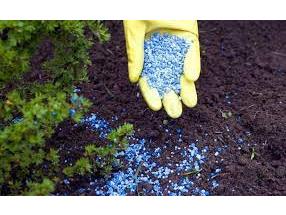 توزیع ۱۵۰۰ تن کود به کشاورزان شهرستان جویباری