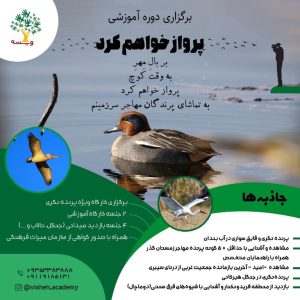 کارگاه آموزشی پرنده‌نگری در استان مازندران برگزار می‌شود