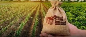 ۱۹۰۰ میلیارد تسهیلات کشاورزی در شهرستان بابل پرداخت شد