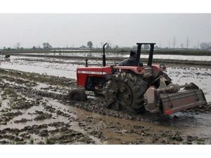 ۵ هزار هکتار از شالیزارهای شهرستان محمودآباد شخم و شیار شد