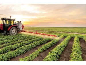 استان سرسبز مازندران؛ لنگرگاه اقتصاد کشاورزی ایران