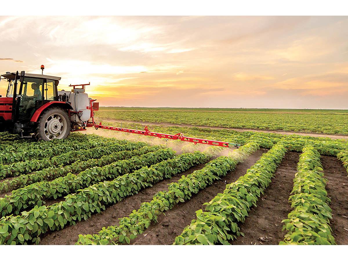 استان سرسبز مازندران؛ لنگرگاه اقتصاد کشاورزی ایران