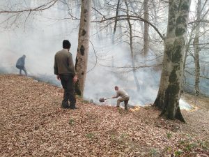 مهار آتش سوزی در منطقه جنگلی الندان شهرستان کیاسر