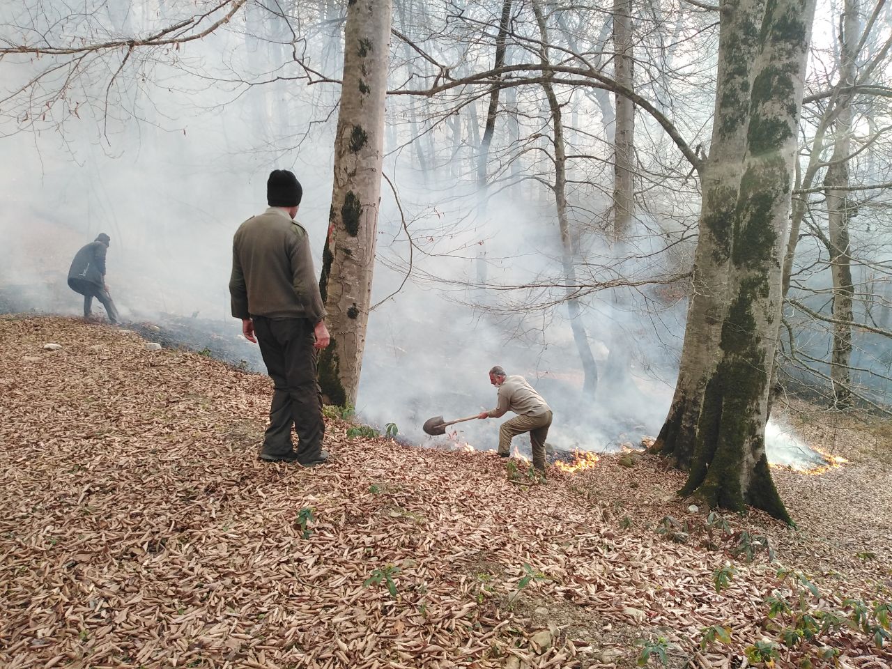 مهار آتش سوزی در منطقه جنگلی الندان شهرستان کیاسر