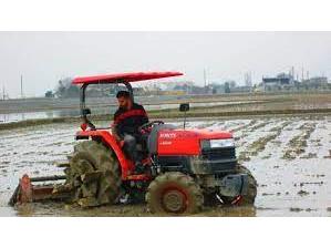 ۲۰۰۰ هکتار شالیزارهای شهرستان بهشهر شخم و شیار شدند