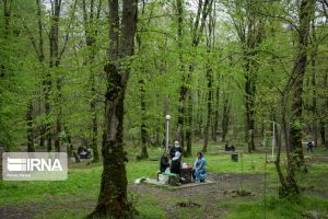 جنگل های شمال؛ سالها در انتظار تهیه اطلس طبیعت‌گردی از حفاظت تا توسعه گردشگری