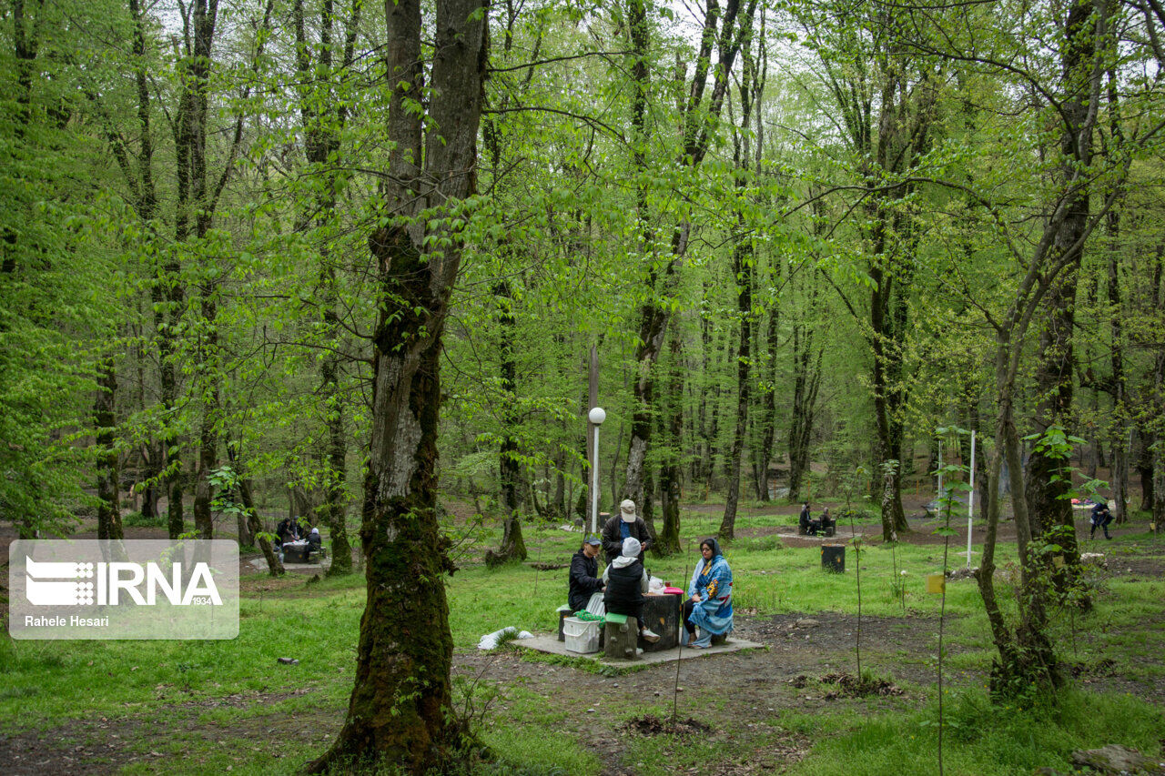 جنگل های شمال؛ سالها در انتظار تهیه اطلس طبیعت‌گردی از حفاظت تا توسعه گردشگری