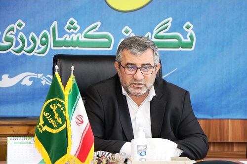 مرغ های بیش از ۴۶ روز تخلیه شوند