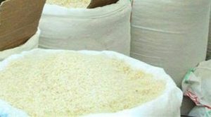 ۲۸ هزار تن برنج کشاورزان مازندران از نیمه دوم اردیبهشت تاکنون خریداری شده است