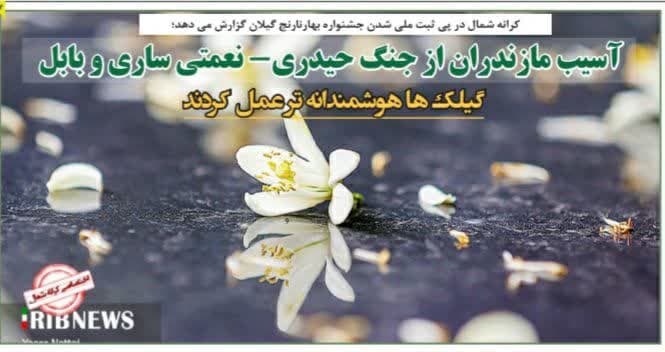 آسیب مازندران از جنگ حیدری- نعمتی ساری و بابل / گیلک ها هوشمنداته تر عمل کردند