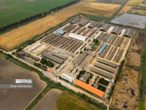 بزرگترین واحد زراعی صنعتی شمال را بیشتر بشناسید /  لزوم ایجاد مراکز مشاوره کارآفرینی در همه شهرستان ها