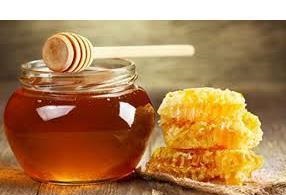 فعالیت ۴۰۰ زنبوردار در ستان شهرستان تنکابن