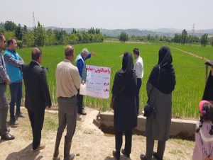 پرورش اردک در ۱۰ هزار مترمربع از شالیزارهای شهرستان ساری