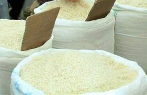 آغاز خرید توافقی ارقام محلی برنج از کشاورزان ساروی