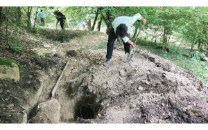 احیای ۸ منطقه حفاری شده در شهرستان شیرگاه