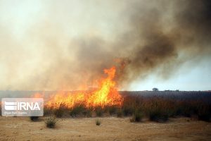 آتش سوزی در بخشی از «شبه جزیره میانکاله»