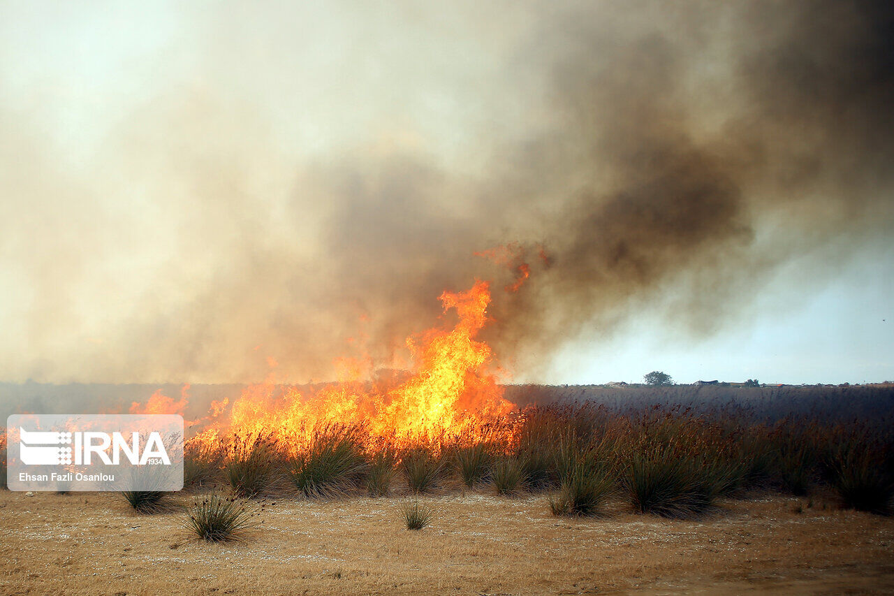 آتش سوزی در بخشی از «شبه جزیره میانکاله»