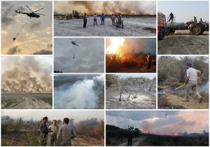 اطفاء کامل حریق در پناهگاه حیات وحش منطقه میانکاله