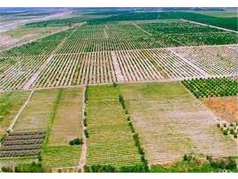 رفع تداخلات مربوط به ۲۰ هزار هکتار اراضی شهرستان نور