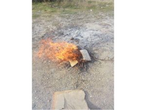 امحا شدن سه کیلوگرم پیاز گل وارداتی در ساری