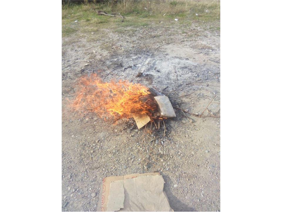 امحا شدن سه کیلوگرم پیاز گل وارداتی در ساری