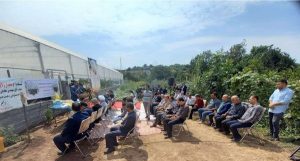 افتتاح گلخانه لیموترش در شهرستان ساری