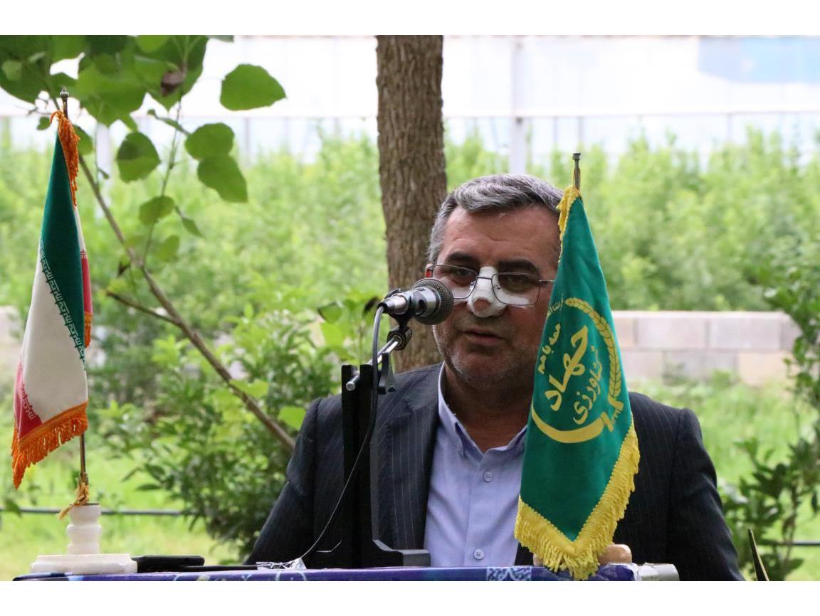 کشت های گلخانه ای در استان مازندران افزایش می یابد