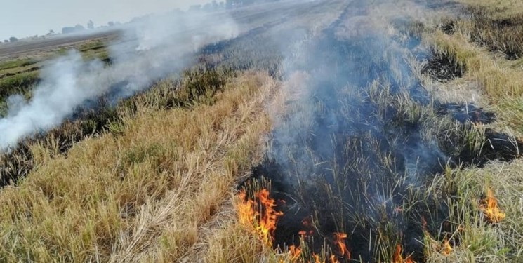 گشت‌زنی جهت جلوگیری از مزرعه‌سوزی در استان مازندران