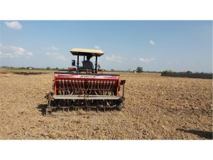 آغاز کشت کلزا در مزارع شهرستان بهشهر