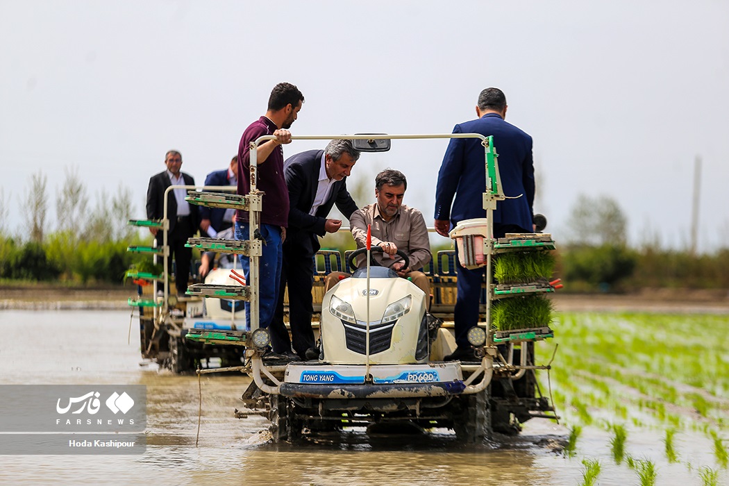 مومنی دست تنهاست؟/ خط و نشان استاندار برای مافیای برنج!
