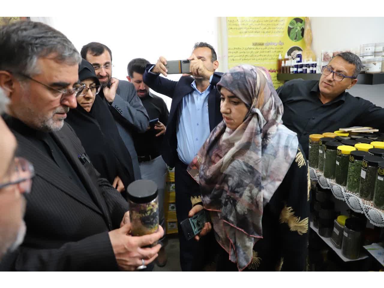 لزوم بهره گیری از ظرفیت کشاورزی بویژه کشت گیاهان دارویی برای تقویت اقتصاد و اشتغال روستایی