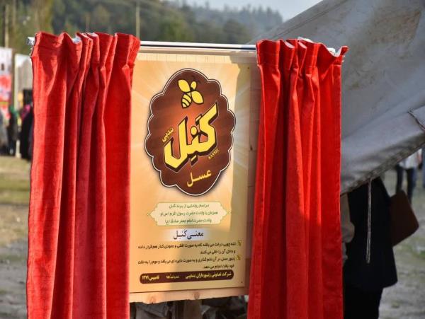 تولید ۲۹۰۰ تن عسل در بابل/ برگزاری جشنواره عسل کَنِل بندپی