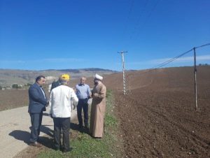 انعقاد قرارداد کشت ۱۱۰۰ هکتاری کلزا در شهرستان ساری