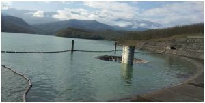 دامداری در روستاهای استان مازندران