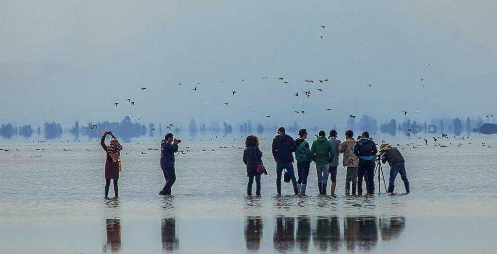پیشنهاداتی برای رونق گردشگری داخلی و خارجی