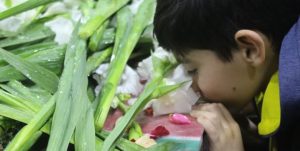 شکوه حضور/ مردم مازندران گل کاشتند