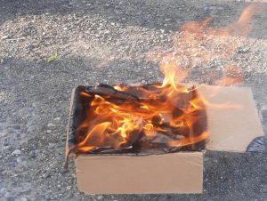 امحاء دو محموله پیاز و بذر گل وارداتی در شهرستان ساری