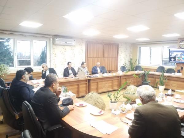 ۹۷ درصد از مرغداری در استان مازندران؛ فعال هستند