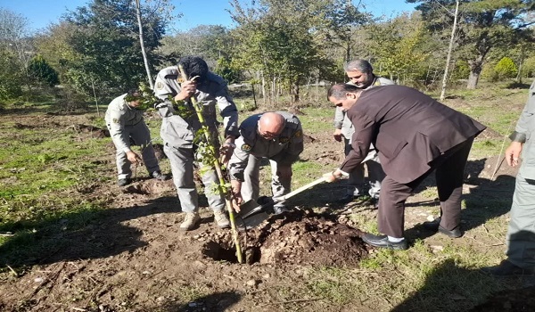 آغاز به کار رسمی پویش مردمی کاشت یک میلیارد نهال در استان مازندران