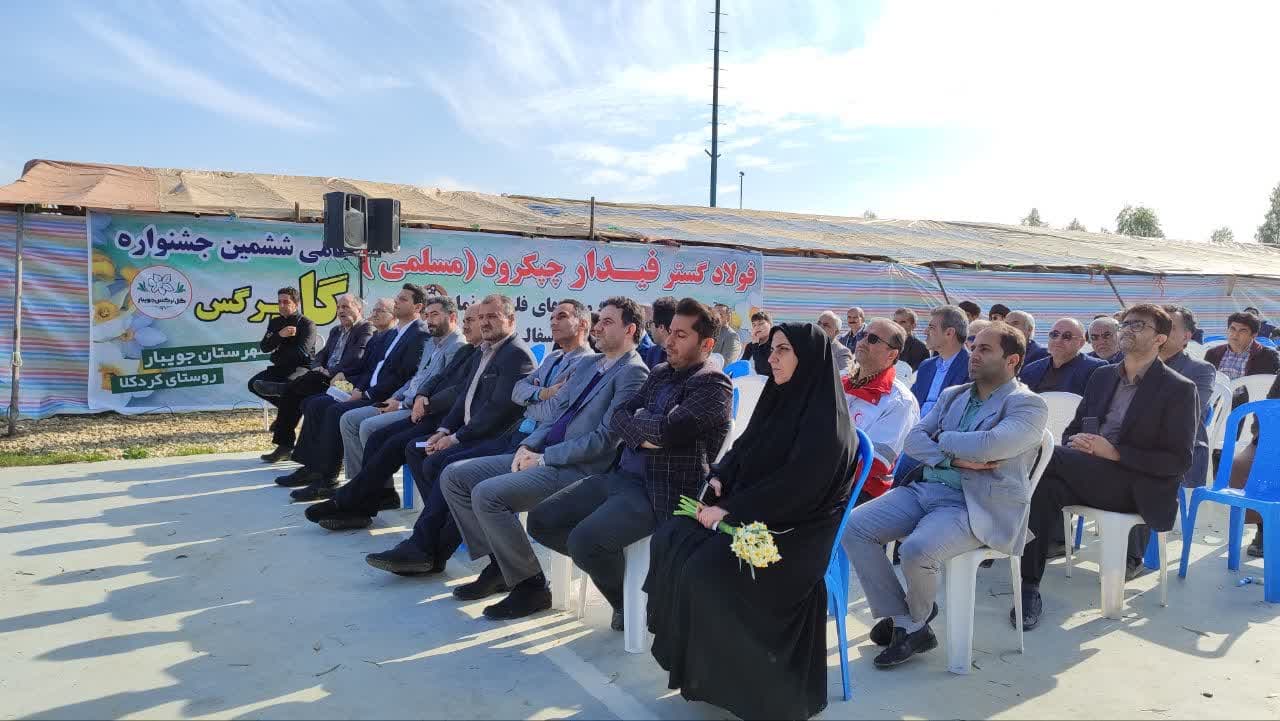  لزوم تشکیل تعاونی تولید کنندگان گل نرگس در جویبار/ ۶۰ درصد منابع صندوق در روستاهای مازندران پرداخت شد