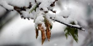 باران و برف در راه استان مازندران