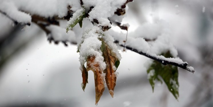 باران و برف در راه استان مازندران