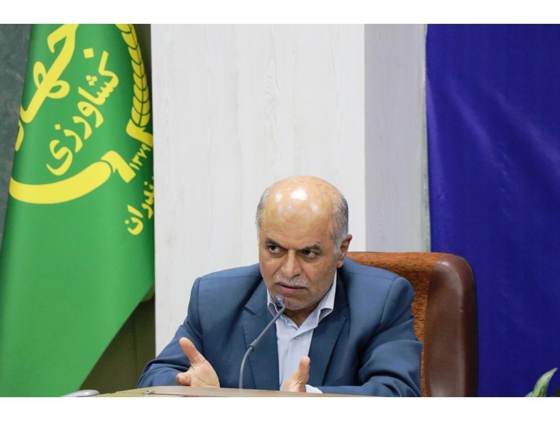 جهش تولید در ۵۱ هزار هکتار دیمزار مازندران/تحقق ۷۶ درصدی