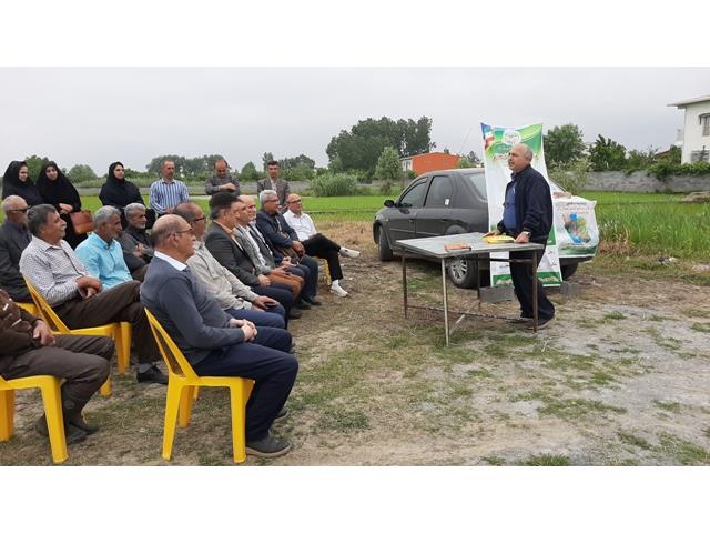 انتقال دانش و یافته‌های تحقیقاتی به ۲۴۰۰ بهره‌بردار محمودآبادی