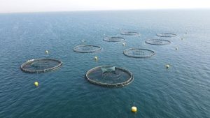 ریل گذاری نوین گردشگری دریایی در دولت سیزدهم/ آماده باش مازندران برای توسعه اقتصاد دریایی/ تحقق بهره وری و درآمدزایی تا سال ۱۴۱۰