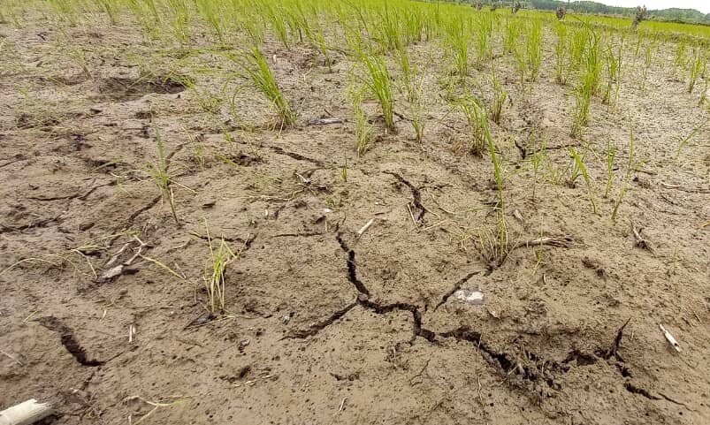 عصبانیت سمنانی ها نشان دهنده حقانیت مازندران / ۶ نکته مهم پیرامون فینسک که دولت باید توجه کند