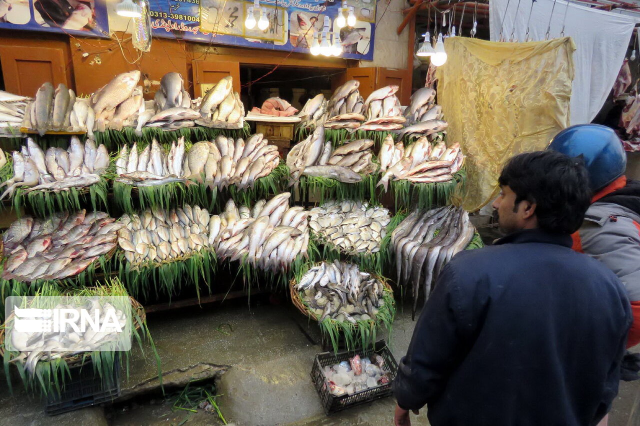 صفر و صد شیلات مازندران/  تمرکز دولت بر تقویت ذخایر دریایی و ماهیان خاویاری