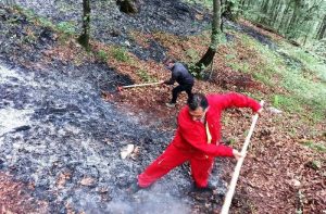 هشدار منابع طبیعی نسبت به احتمال آتش‌سوزی در جنگل‌های مازندران