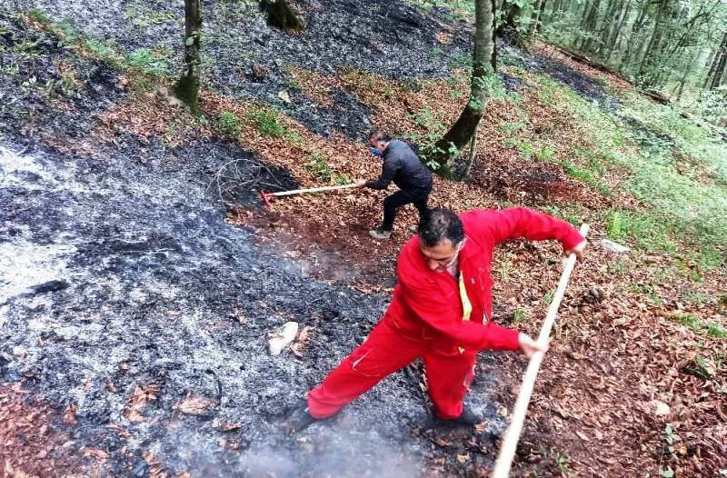 هشدار منابع طبیعی نسبت به احتمال آتش‌سوزی در جنگل‌های مازندران